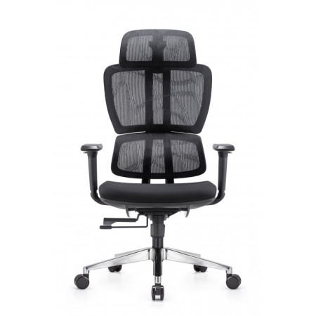 Cadeira Executiva Ergonômica Mesh com Ajuste Lombar