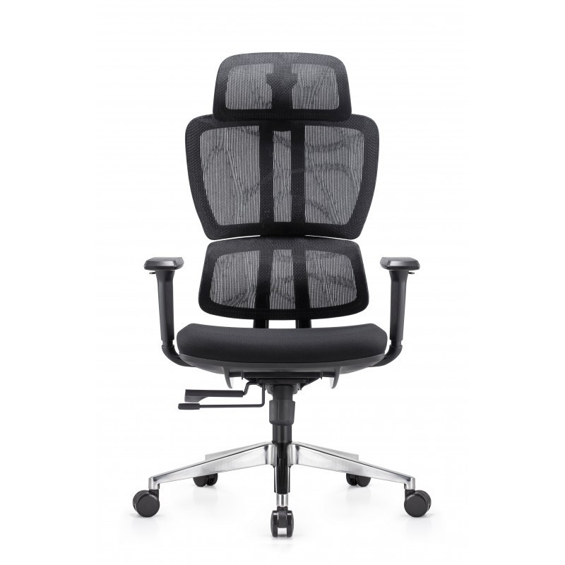 Cadeira Executiva Ergonômica Mesh com Ajuste Lombar