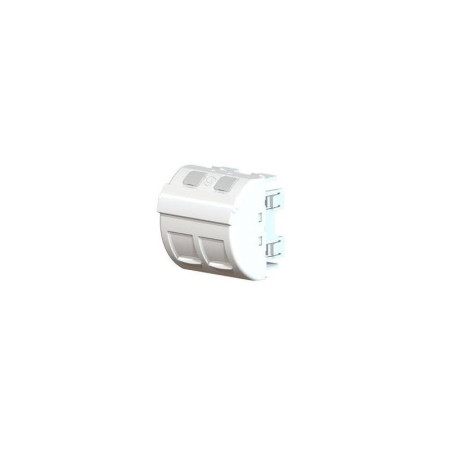 Conectores RJ-45 Angled + Dual Brandr
