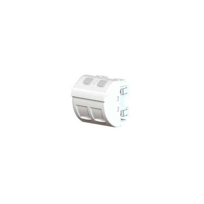 Conectores RJ-45 Angled + Dual Brandr